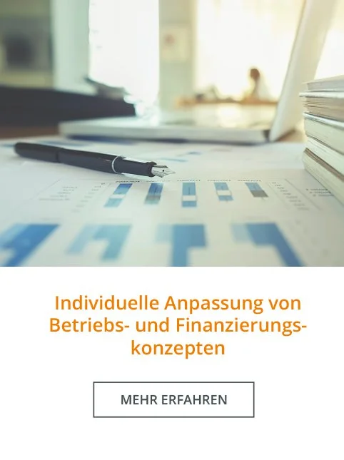 Individuelle Anpassung x Business Software Solutions
